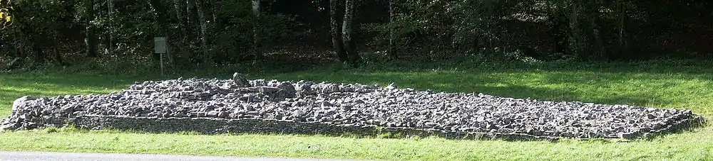 Elongated, elevated view of the cromlech from its side, with the edge of the woods to its rear. The tumulus' trapezium shape is evident, its boulders retained by a short wall, missing at the very front, left, where rubble has tumbled out.