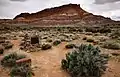 Inside the Pariah, Utah ghost town cemetery.