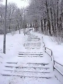 Stairs to the hill