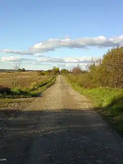 Unpaved road in Parowa