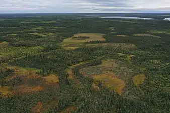 A peat plateau complex south of Fort Simpson, Northwest Territories