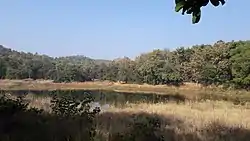 View of Pench Tiger Reserve