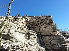 Different views of the ruins of a village built by Hohokam Puebloans about 1000 years ago on top of Indian Mesa. This is part of the wall of the fort that surrounded the village. The holes in the wall are viewing holes so the defenders can view the only path to the top. There are several branches of an "Ocotillo" shrub in the foreground.