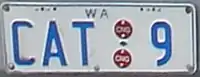 CAT bus plate (OC 500 LE CNGs of Perth CAT)