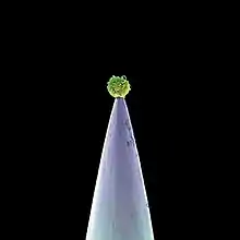 An microscopic image of a biologic cell on a tip of a needle.
