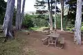 Picnic tables on bluff above Kirby Cove Beach
