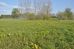 Meadows and pastures in Pietrusin