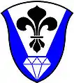 H R Stockdale Nursing College (South Africa): Azure, on a pile argent, the point couped, a fleur-de-lis sable, in base a cut diamond argent.