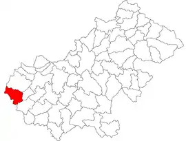 Location in Satu Mare County