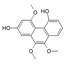 Chemical structure of plicatol A