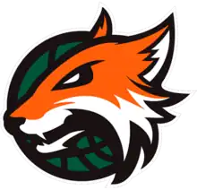 Plymouth Raiders logo