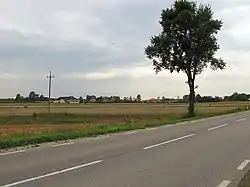 National road in Kurpiki