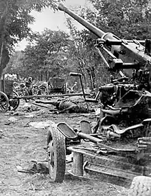 Bombed Polish Army column during the Battle of the Bzura.