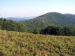View of the Bukovské vrchy mountain range.