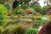 The pond in front of the Rock garden