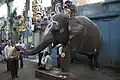 The Temple elephant "Lakshmi", that gives blessings to visitors.