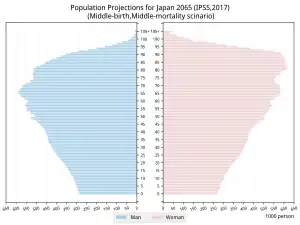 Population Pyramids of Japan 2065. (Middle-birth, Middle-death scinario case)