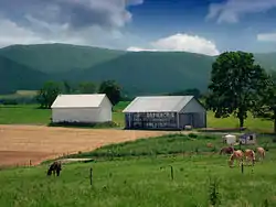 A farm in the Nittany Valley in the township