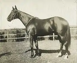1906 winner – Poseidon.