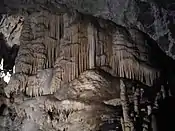A formation of stalagmites deep underground in Postojna Cave