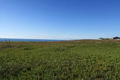 A boardwalk in Santo André, Póvoa de Varzim