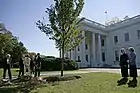 President George W. Bush and Laura Bush planting a disease-resistant 'Jefferson' Elm before the White House, 2006