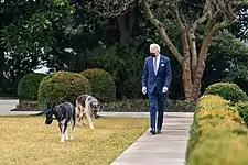 President Biden walking with Champ and Major through the White House Rose Garden in January 2021.