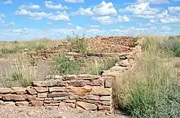 Ruins at Puerco Pueblo consisting of very low walls, about a meter (three feet) tall, of stacked reddish-brown rocks forming the rectangular shapes of a multi-room structure, surrounded by short greenish, yellow desert vegetation slightly taller than the walls