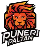 Puneri Paltan