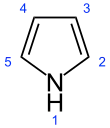 Numbered skeletal formula of pyrrole