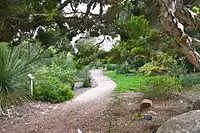 Path through gardens