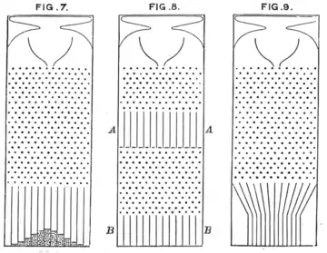 The quincunx, as drawn by Sir Francis Galton