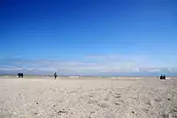 Nazar Bilyk. "Quotation mark". Metal. 2014.