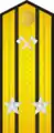 Shoulder board of Red Army engineers (1943-1946)/Soviet Army (1946-55)