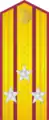 Shoulder board RA infantry/ motorized infantry (1943-1946)/ CA (1946-55)