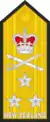Vice admiral(Royal New Zealand Navy)
