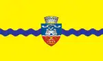 Flag of Arad