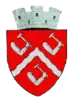 Coat of arms of Târgu Ocna