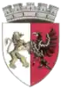 Coat of arms of Salonta