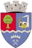 Coat of arms of Ștei