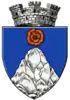 Coat of arms of Târgu Cărbunești
