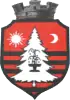 Coat of arms of Băile Tușnad