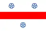 Flag of Miercurea Ciuc