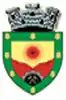 Coat of arms of Baia de Aramă