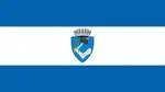 Flag of Târgu Mureș
