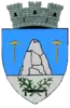 Coat of arms of Slănic