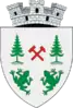 Coat of arms of Broșteni