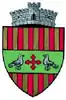Coat of arms of Drăgușeni