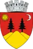 Coat of arms of Fălticeni