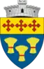 Coat of arms of Preutești